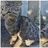 Фото 3