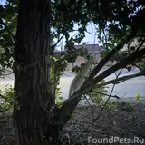 Фото 3