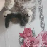Фото 3