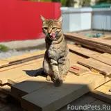 Фото 3