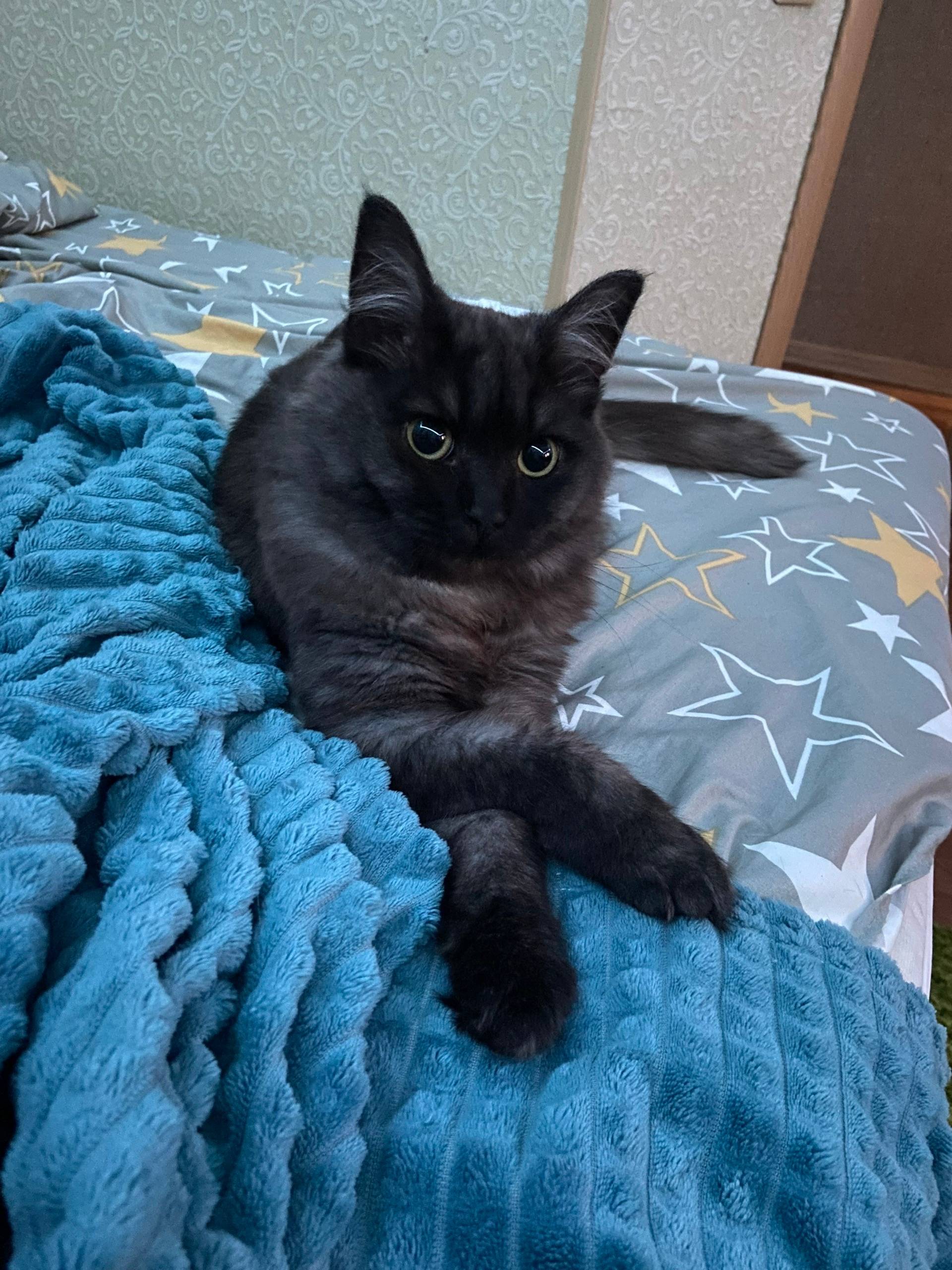 Фото 1