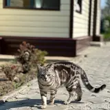 Фото 3