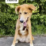 Фото 3
