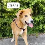 Фото 4