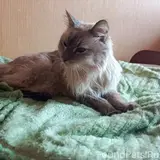 Фото 2