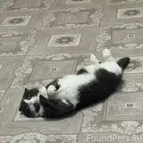 Фото 2