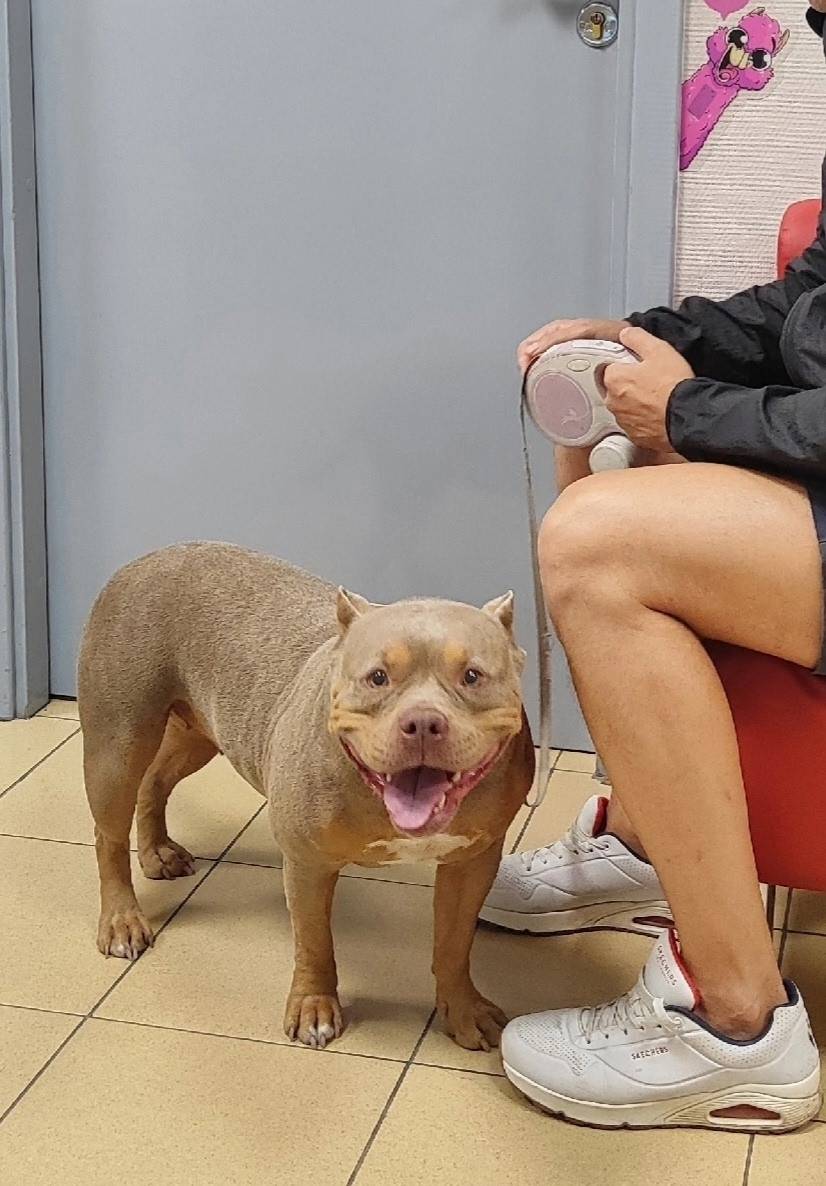 Фото 2