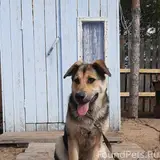 Фото 3