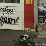 Фото 3