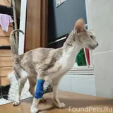 Фото 2