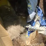 Фото 4