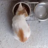 Фото 1