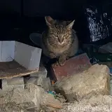 Фото 2