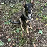Фото 1