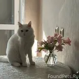 Фото 3