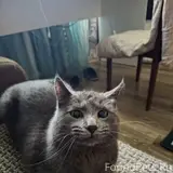 Фото 3