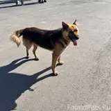Фото 1