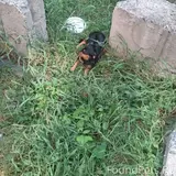Фото 1