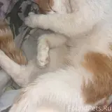 Фото 2