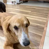 Фото 1