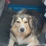 Фото 1