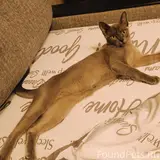 Фото 2