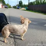 Фото 3