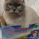 Фото 2