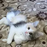 Фото 2