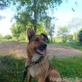 Фото 3