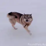 Фото 2