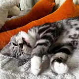 Фото 3