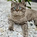 Фото 3
