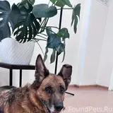 Фото 3