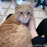 Фото 1