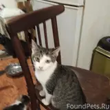 Фото 1