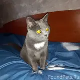 Фото 1