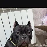 Фото 1