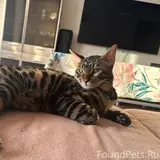 Фото 1
