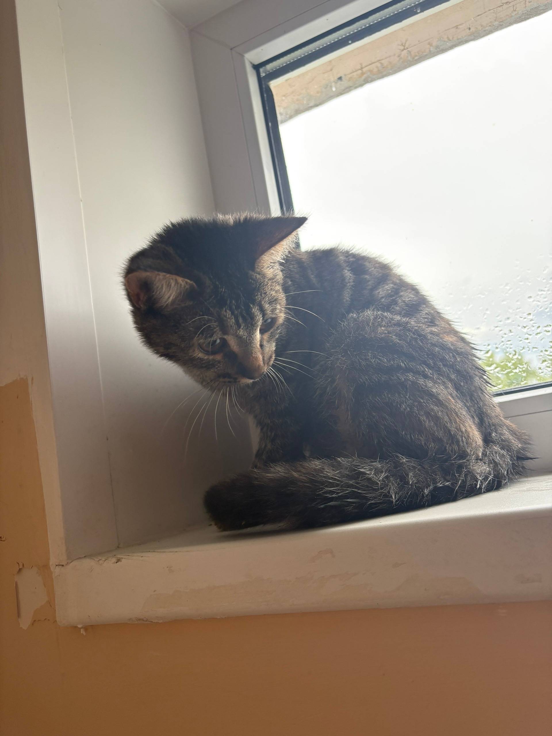 Фото 5