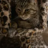 Фото 3
