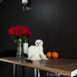 Фото 3