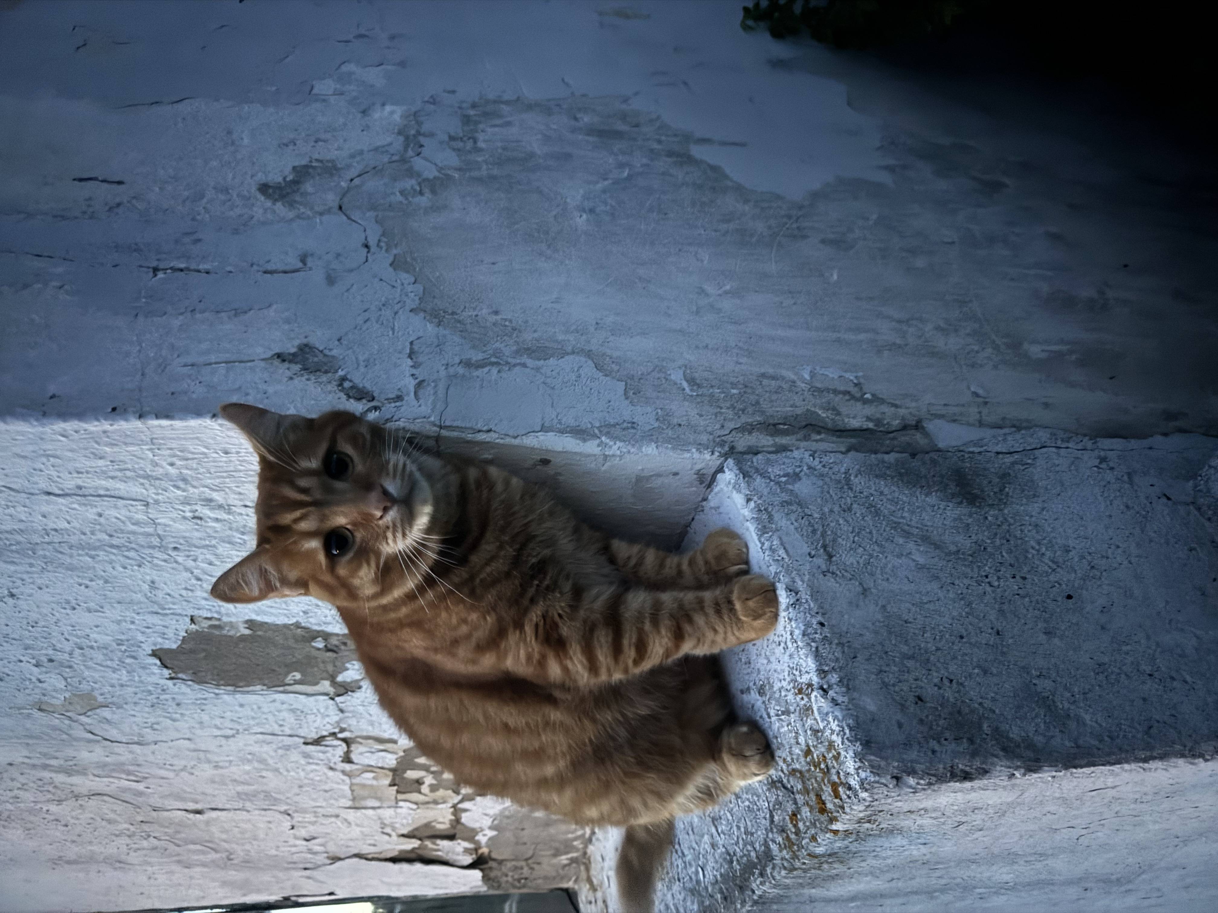 Фото 1
