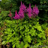 Фото 5