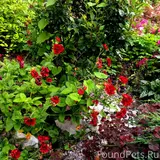Фото 6
