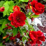 Фото 8