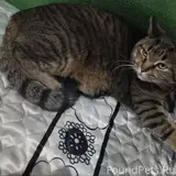 Фото 1