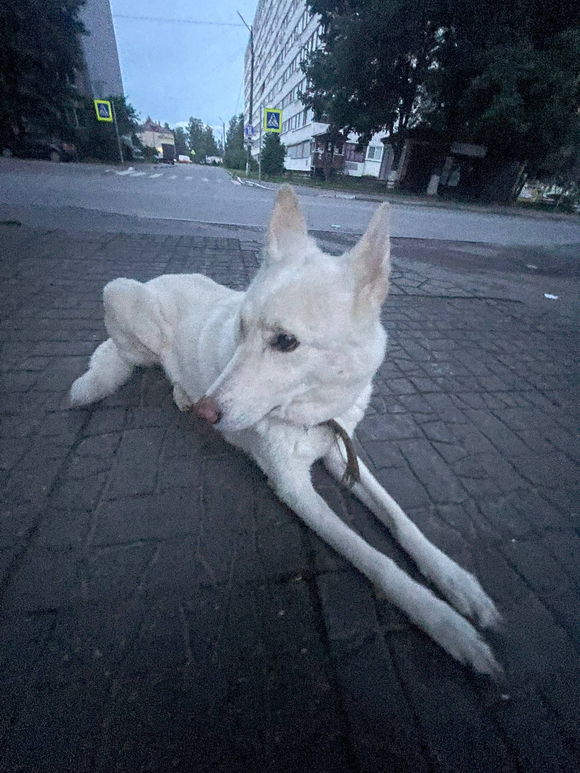 Фото 3