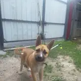 Фото 2