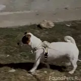Фото 2